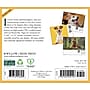 2026 Willow Creek Dogs 6.2" x 5.4" Day-to-Day Calendar (54147)~#|#~CC0AC812-7480-4A6D-BFC3DD1F2065BF4A_sc7