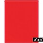 10" x 12" Reclosable Poly Bag, 2 Mil, Red, 1000/Carton (PB3655R)~#|#~CC169976-B189-424C-A5FC675E9082A895_sc7