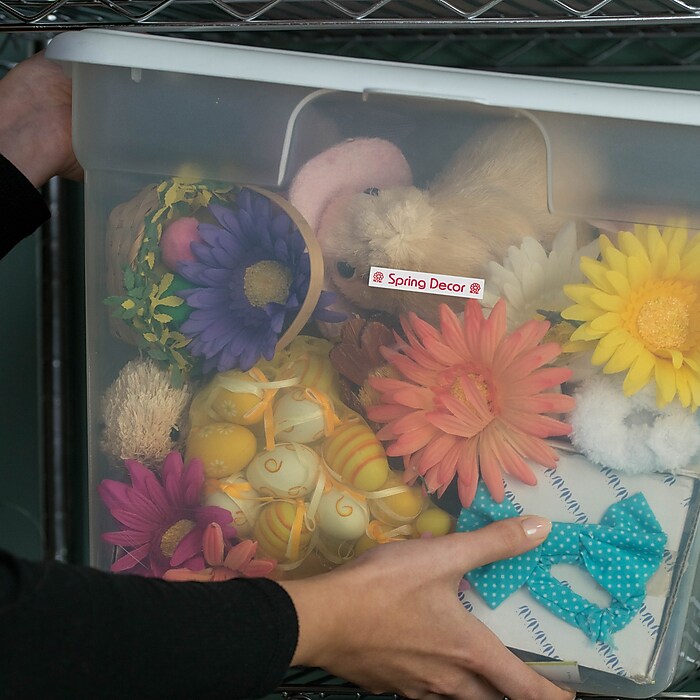 Brother P-touch TZe-232 Laminated Label Maker Tape, 1/2