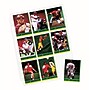 Avery Trading Card Pages Standard Weight Sheet Protector, 8.5" x 11", Clear, 10/Pack (76016)~#|#~CC52D703-6902-4E99-B3425F329D315753_sc7
