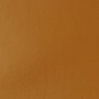 Liquitex BASICS Acrylic Paint Tube, Raw Sienna, 250 mL (LIQ4385330)~#|#~CC5E0FC6-3694-45AF-9D95103492CBC883_sc7