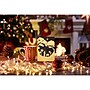Better Office Religious Christmas Cards, 5" x 7", 5/Pack (64660-5PK)~#|#~CC637DAF-5FDC-4DEA-AE4BDE9836E0798E_sc7