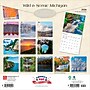 2026 BrownTrout Michigan Wild & Scenic 12" x 12" Monthly Wall Calendar (9798330704590)~#|#~CC7407D9-87A3-47FD-8F4DF39A700AEE74_sc7