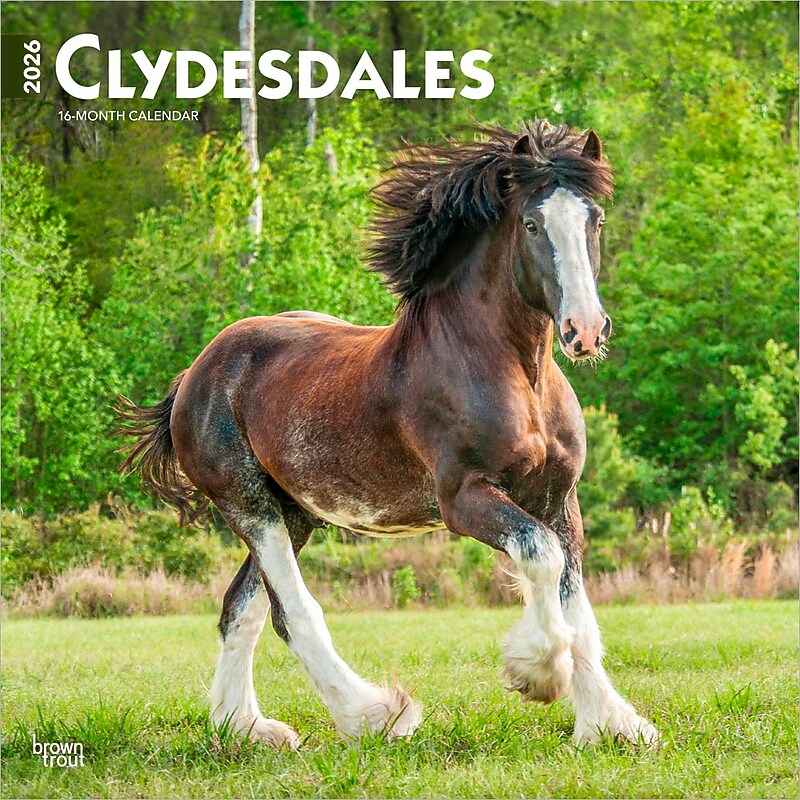 2026 BrownTrout Clydesdales 12" x 12" Monthly Wall Calendar (9798330702954) image 1