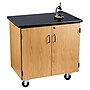 NPS  36"H Mobile Science Cabinet With Adjustable Height Shelf, High Black Top/Light Oak Frame (MSC24361)~#|#~CCA5CC32-E204-4335-98D4C4982FA5C4BF_sc7