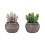 Monarch Specialties Inc. 8" Artificial Succulent Plant in Pot, 2/Set (I 9364)~#|#~CCAFD4D4-95FC-4772-AF724C1A92E272C0_sc7