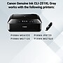 Canon 251XL Gray High Yield Ink Cartridge  (6452B001)~#|#~CCBB86F0-A6CF-4CB0-BB3EDC0910C6DC8B_sc7