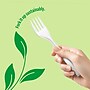 Perk™ Eco Compostable PLA Fork, Medium-Weight, White, 300/Pack (PK56201)~#|#~CCBC7626-38B7-4561-BA7D09F455302B4C_sc7