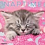 2026 Willow Creek Naptime: A Cat's Favorite Pastime 12" x 12" Monthly Wall Calendar (52082)~#|#~CCC4FE0A-8B66-4715-9C126A1E8A849C5B_sc7