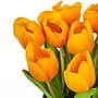 National Tree Company 9" Orange Tulip Bouquet (MT81-130TU25POR)~#|#~CCC57923-4C83-4A48-978CC8F5CB2526EA_sc7