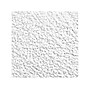 Armstrong ARMATUFF Lay-In Square Edge Ceiling Tile, 24" x 24", White, 16/Carton (BP861)~#|#~CCCFE5B6-93BA-427B-9143C1AEC5E74F72_sc7