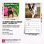 2027 BrownTrout French Bulldogs 7" x 7" Monthly Wall Calendar, Assorted Colors (9798330709991)~#|#~CCF01283-0BA8-4081-A4FC9BA375B57CD1_sc7