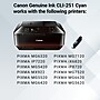 Canon 251 Cyan Standard Yield Ink Cartridge (6514B001)~#|#~CD01BEBB-E90F-4883-A5291B6C978401CB_sc7