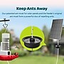Birdfy Smart Hummingbird Feeder Duo with 2 Cameras, Solar Panel and Free AI Lifetime Subscription, Red (EPPAMBNI8501110)~#|#~CD1E6458-FD3D-4E31-B6EA8079F662640F_sc7