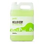 Perk Eco All-Purpose Cleaner Refill, Ready to Use, 1 Gallon (PK641001-A)~#|#~CD1FE092-A8EF-4110-BB33EB1C47031E70_sc7