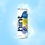 Hint Watermelon Flavored Purified Water, 12 fl. oz., 12 Cans/Pack (HINT-WMCAN-12)~#|#~CD22393C-28CB-4C65-86670D232577A780_sc7