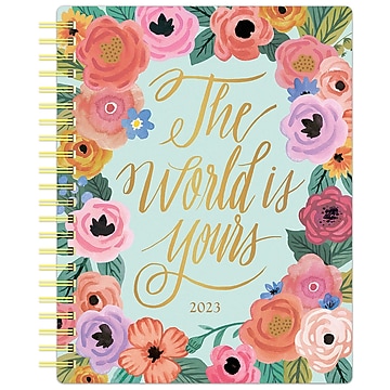 2023 BrownTrout Bonnie Marcus 6" x 7.75" Weekly Desk Planner, Multicolor (9781975449643)