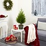 Nearly Natural Norfolk Island Pine Natural Look Artificial Tree in Decorative Planter, 3' (T1511)~#|#~CD4B5512-FF3E-4767-8B6F7F76B82C0E5A_sc7