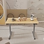 FlexiSpot ET155E 48"W Electric Rectangular Adjustable Standing Desk, Maple/Gray~#|#~CD5D432F-13F0-43A8-9F70C8D1868B9876_sc7