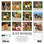 2026 Willow Creek Boxers 12" x 12" Monthly Wall Calendar (50378)~#|#~CD6B9E45-60A5-4BFF-BE223609AEB70FB1_sc7
