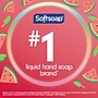 Softsoap Limited Edition Liquid Hand Soap, Melon Ice Pops Scent, 11.25 fl. oz. (61047386)~#|#~CD710551-AAB3-49A9-A6600B939FF49A0B_sc7