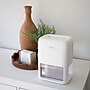Crane 1-Pint Portable Dehumidifier, Covers up to 200 sq. ft., White (EE-1003)~#|#~CD7A8F7F-F0B3-4C19-B02CCB18CDFB575B_sc7