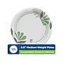 Dixie Pathways 7" Paper Plates, Multicolor, 125/Pack (UX7WS)~#|#~CD7C6595-4436-41C3-A6AA57D7D495189D_sc7