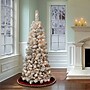 National Tree Company 4.5 ft. Pre-Lit Acacia Pencil Slim Flocked Artificial Christmas Tree with Clear Lights (AC100-304-45F)~#|#~CD826CF2-EF97-47F2-8F4E7CBEC88021A5_sc7