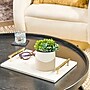 Lifelines Rosemary & Lemon Evaporative Aromatherapy Essential Oil Succulent Diffuser (11-1609)~#|#~CD83973E-F6EE-496D-87169B969AAB5B2A_sc7