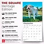 2027 BrownTrout Goldendoodles 12" x 12" Monthly Wall Calendar (9798330712489)~#|#~CD85A042-0842-45E1-9A06556B7FC1D438_sc7