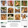 2026 Willow Creek Goldens 12" x 12" Monthly Wall Calendar (51320)~#|#~CD936732-CC74-4CCC-BAE58611A860408F_sc7