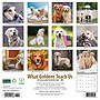 2026 Willow Creek What Goldens Teach Us 12" x 12" Monthly Wall Calendar (53188)~#|#~CDA3CDCE-B579-4554-9F50BFED01AD21F6_sc7