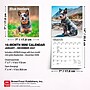 2027 BrownTrout Blue Heelers 7" x 7" Monthly Wall Calendar, Assorted Colors (9798330709908)~#|#~CDBB050E-E29C-40DD-829F78B625E948B9_sc7