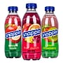 Snapple Juice Drink Variety Pack, 20 oz., 24/Pack (220-00813)~#|#~CDC00713-DDAD-4F7F-B9B8DAC2AEABA425_sc7