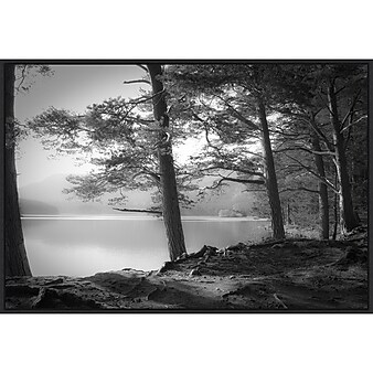 Amanti Art Scottish Lake, Canvas, 33" x 23" (A42675514929)