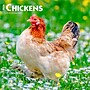 2026 BrownTrout Chickens 12" x 12" Monthly Wall Calendar (9798330702909)~#|#~CDDF17C1-1067-41BA-9F7719A2CA654297_sc7