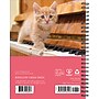 2027 Willow Creek What Cats Teach Us 6.5" x 8.5" Weekly & Monthly Desk Calendar (64443)~#|#~CDEF2F2D-87F1-4651-ADEE5761AC319F9C_sc7