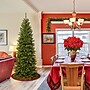 National Tree Company North Valley Spruce Artificial Christmas Trees (NRV7-505-75)~#|#~CE0C37A0-F07B-4E82-9B6616A4AA71E5E9_sc7
