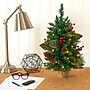Nearly Natural 2-ft Pine, Pinecone and Berries Artificial Christmas Tree with 35 LED Lights and 86 Bendable Branches (T1695)~#|#~CE0C636D-1E76-4AD8-825BC6D13AE83C08_sc7