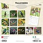 2026 BrownTrout Hummingbirds 12" x 12"  Monthly, Paper Cover, Hummingbirds (9798330703807)~#|#~CE0F3668-1546-4624-9DFACE16F3E7E887_sc7