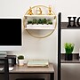 Mind Reader Metal Floating Round Wall Shelf, 15.5" x 3.81" x 16", White/Gold (MDGCIR-WHT)~#|#~CE376781-D7B2-4230-BE8D44F7FE6EF0DA_sc7