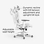 Staples Dexley Ergonomic Mesh Swivel Task Chair, Gray (UN61365)~#|#~CE3D0CE1-C03E-4E69-9BA3E049C4AA12A5_sc7