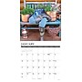 2027 Willow Creek Country Chic 12" x 12" Monthly Wall Calendar, Assorted Colors (59869)~#|#~CE527EA9-047F-42F3-998C56936E6C0247_sc7