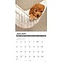 2027 Willow Creek Multi 12" x 12" Monthly Wall Calendar, Assorted Colors (61862)~#|#~CE545122-A064-4D99-9ECFF08957F5E88D_sc7