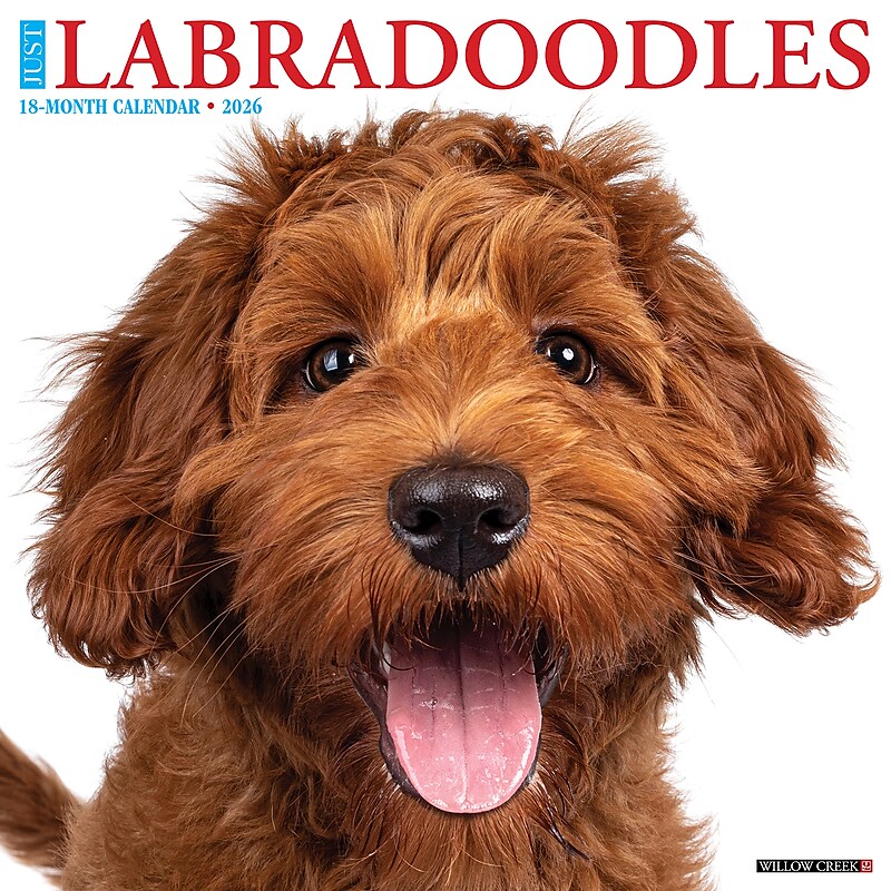 2026 Willow Creek Labradoodles 12" x 12" Monthly Wall Calendar (51726) image 1