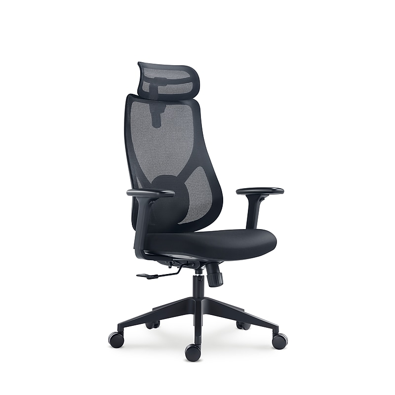 Raynor Group Torque Ergonomic Fabric/Mesh Swivel Manager Chair, Black (TORQUE-BF-BLK) image 1