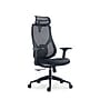 Raynor Group Torque Ergonomic Fabric/Mesh Swivel Manager Chair, Black (TORQUE-BF-BLK)~#|#~CED6524F-8AE8-45AB-8FE33EAF76F36E20_sc7
