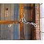 Nahanco 14" Plastic Super Heavy Weight Dress Hanger, Clear, 100/Carton (414)~#|#~CEDD2C24-07BB-48C8-8B6C27684677AD68_sc7