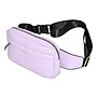 Nicci Waistbag with Web Strap, Lilac (NH04-LIL)~#|#~CEE7991D-0730-436A-98109ADF126DD77C_sc7