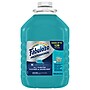 Fabuloso Professional All Purpose Cleaner & Degreaser, Ocean Scent, 1 Gal., 4/Carton (US05252A)~#|#~CEFF48EC-C3DD-48A8-AF14FAB5ACFBD242_sc7